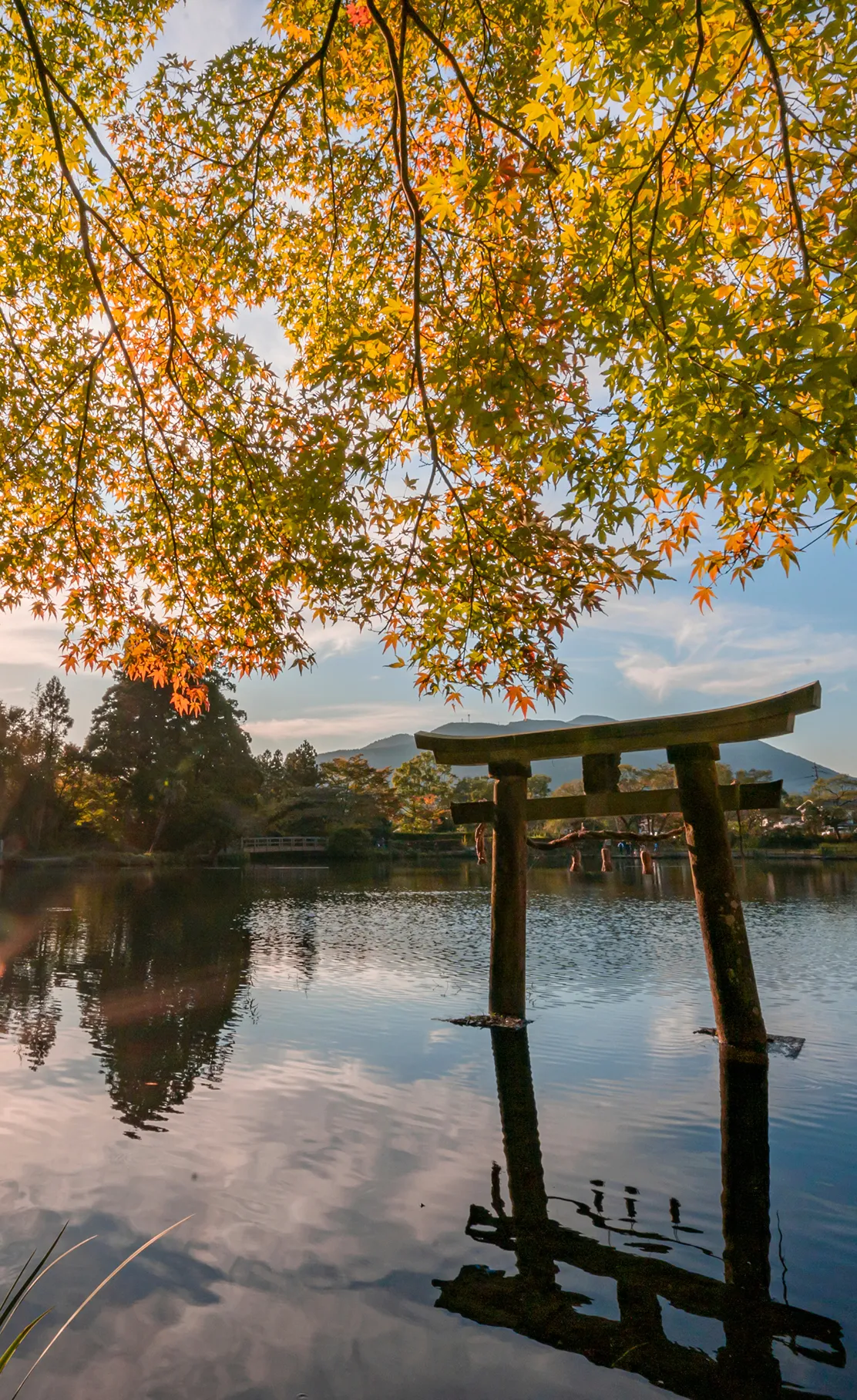 金鱗湖の鳥居と紅葉